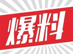 爆料最新资源在线观看,最新资源在线观看，一网打尽热门爆料！